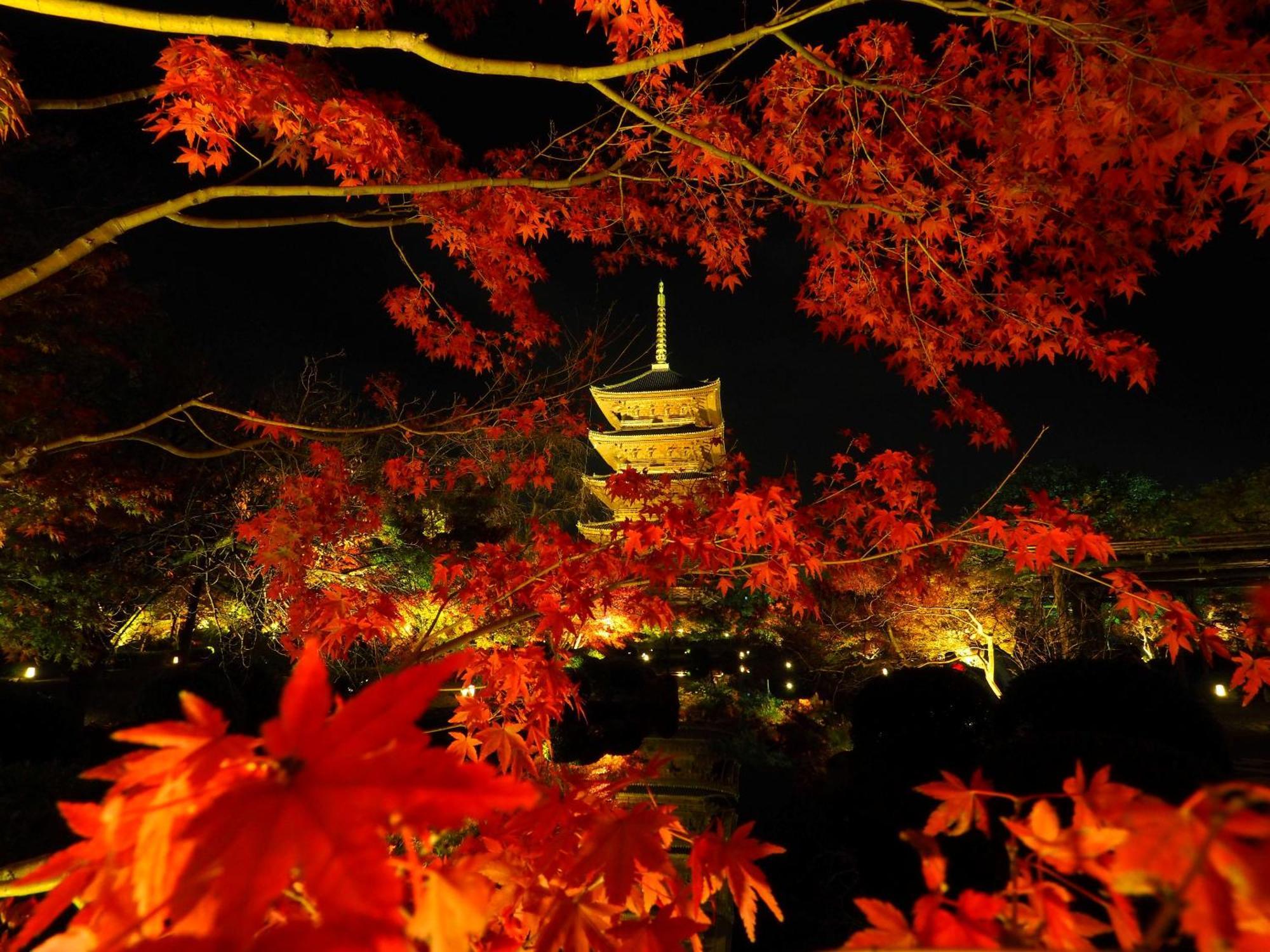 Stay Sakura Kyoto Higashi Hongan-Ji I Kültér fotó