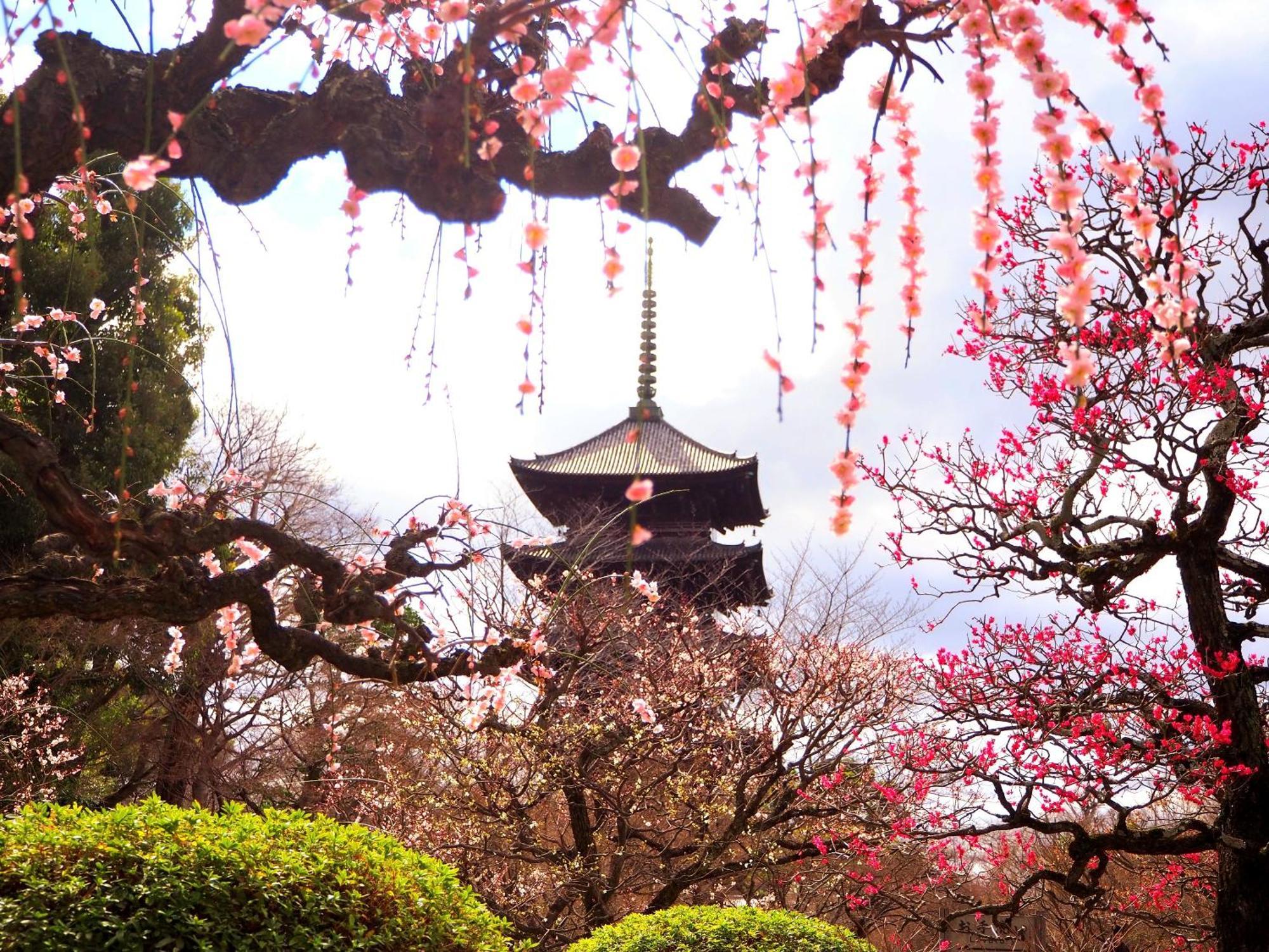 Stay Sakura Kyoto Higashi Hongan-Ji I Kültér fotó