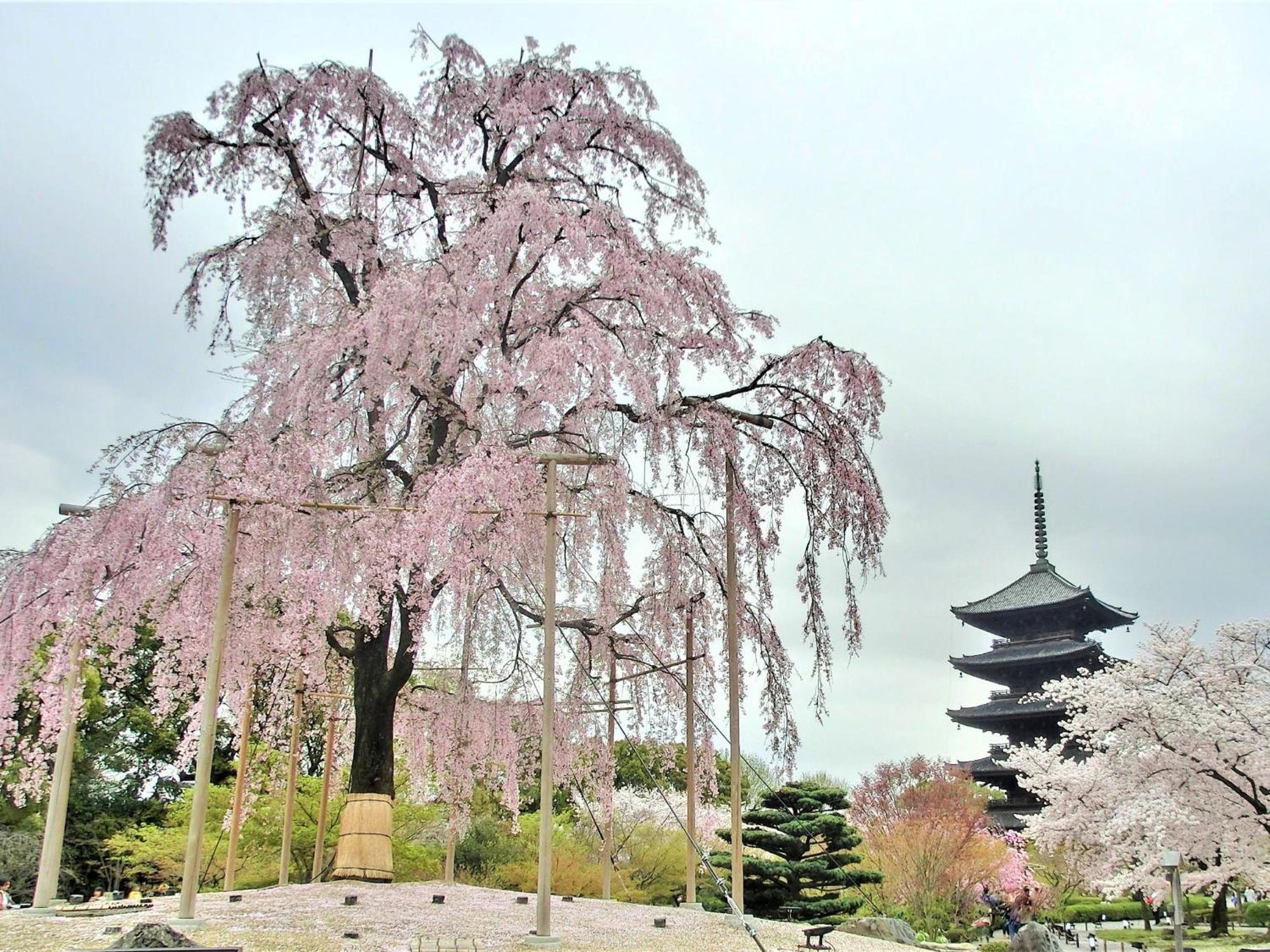 Stay Sakura Kyoto Higashi Hongan-Ji I Kültér fotó