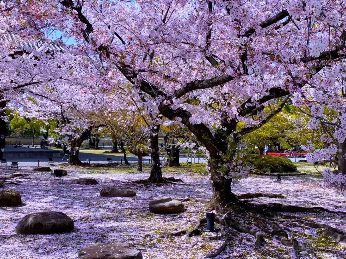 Stay Sakura Kyoto Higashi Hongan-Ji I Kültér fotó
